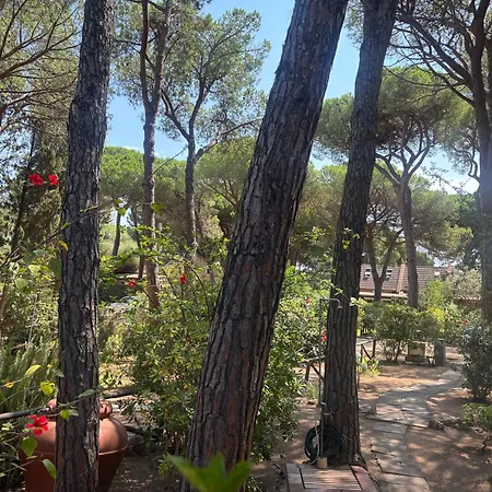 Deliziosa Sul Mare * Pula