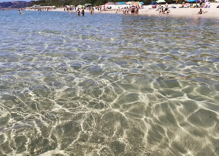 Deliziosa Sul Mare *